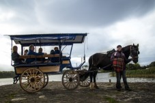 Killarney Jaunting Car Tour to Ross Castle