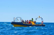 Dingle Sea Safari Rib Ride