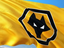 Wolves-Stadiontour