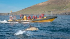 Dingle Sea Safari Rib Ride